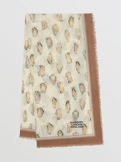 Shop Burberry Oyster Print Lightweight Cashmere Scarf In White
