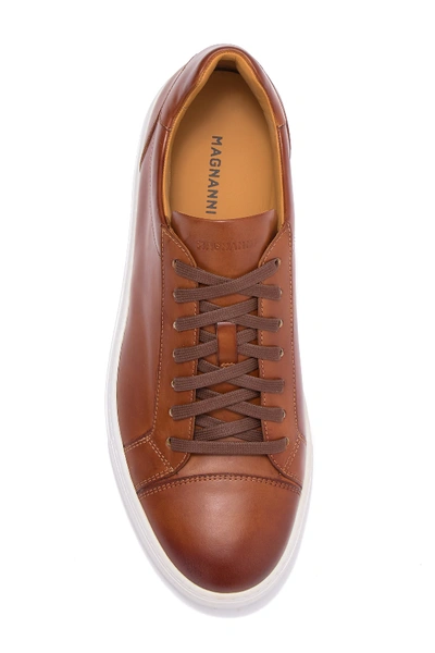 Shop Magnanni Curvo Leather Sneaker In Cognac