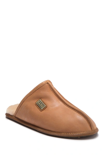 Shop Australia Luxe Collective Closed Mule Genuine Shearling Lined Slipper In Tan Leather