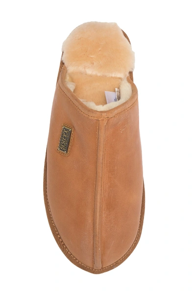 Shop Australia Luxe Collective Closed Mule Genuine Shearling Lined Slipper In Tan Leather