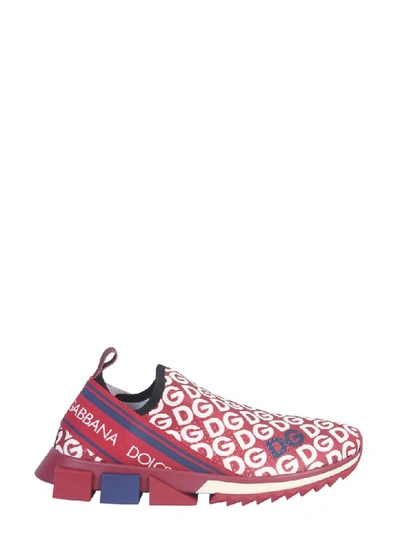 Dolce & Gabbana Knit Fabric Sorrento Sneakers With Dg Mania Print In  Bordeaux | ModeSens