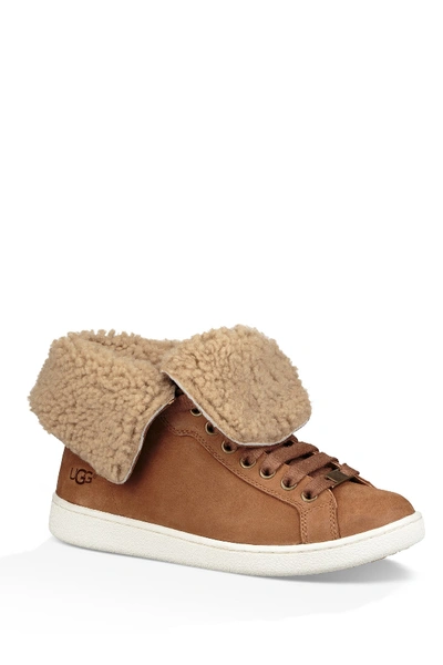 Shop Ugg Starlyn Genuine Shearling Lined Boot In Che