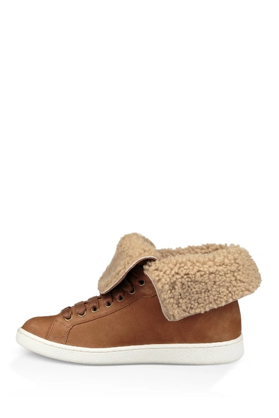 Shop Ugg Starlyn Genuine Shearling Lined Boot In Che