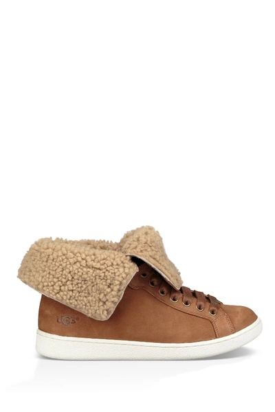Shop Ugg Starlyn Genuine Shearling Lined Boot In Che