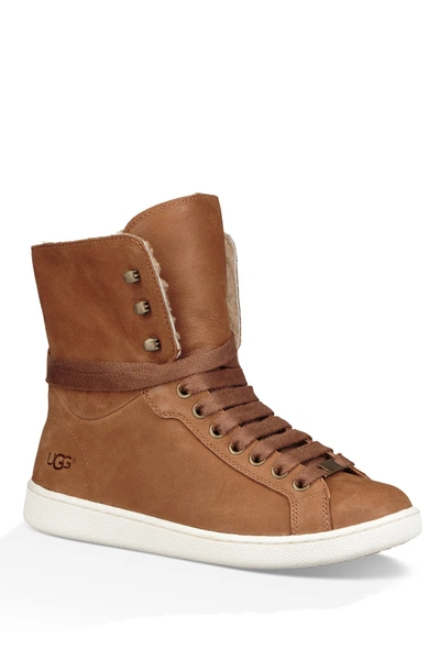 Shop Ugg Starlyn Genuine Shearling Lined Boot In Che