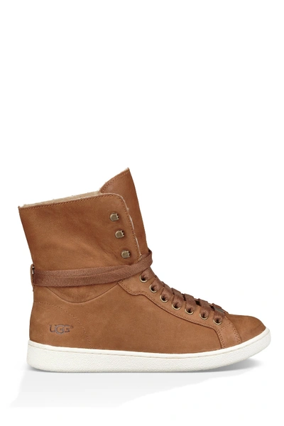 Shop Ugg Starlyn Genuine Shearling Lined Boot In Che