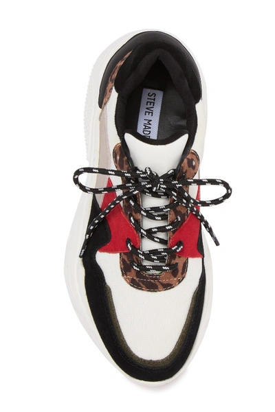 Shop Steve Madden Reverse Leather & Suede Snake Embossed Sneaker In Leop Multi