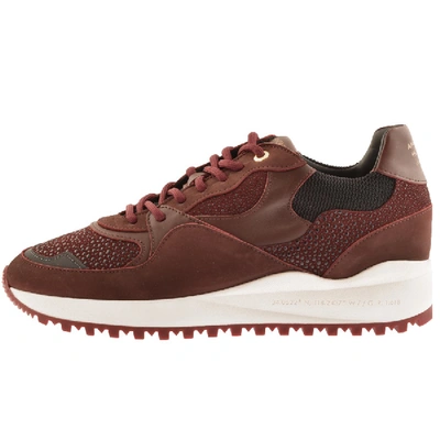 Shop Android Homme Santa Monica Trainers Burgundy In Burgandy