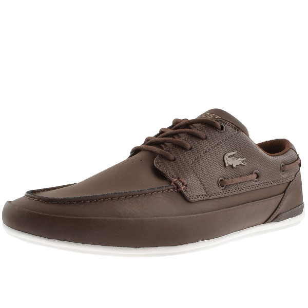 lacoste marina brown