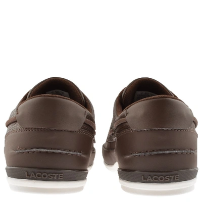 Lacoste hot sale marina brown