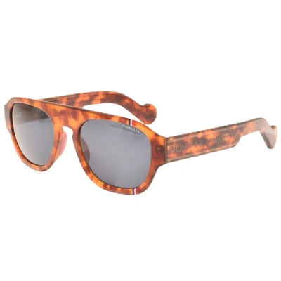 Shop Moncler Ml0096 56v Sunglasses Brown