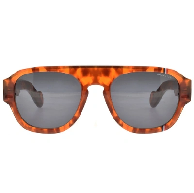 Shop Moncler Ml0096 56v Sunglasses Brown