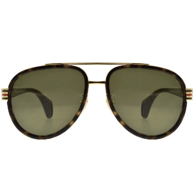 Shop Gucci Gg0447s 004 Sunglasses Brown