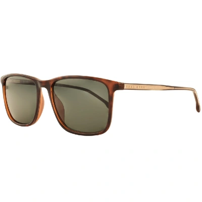 Shop Hugo Boss Boss  1046s Sunglasses Brown