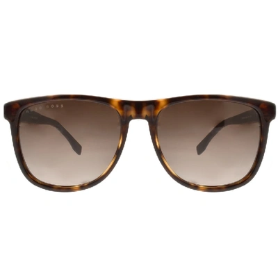 Shop Hugo Boss Boss  0983 Sunglasses Brown
