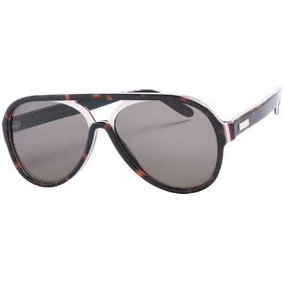 Shop Gucci Gg0270s Acetate Sunglasses Brown