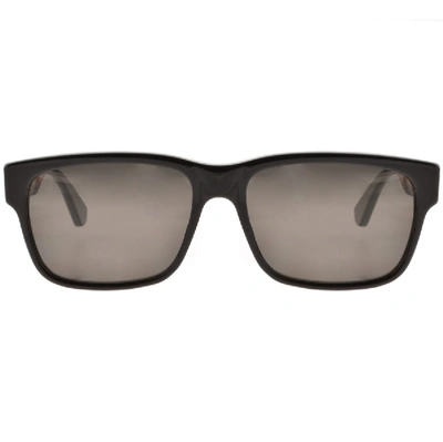 Shop Gucci Gg0340s 007 Sunglasses Black
