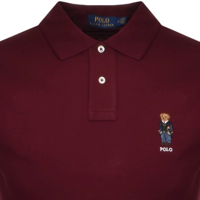 Shop Ralph Lauren Bear Polo T Shirt Burgundy In Burgandy