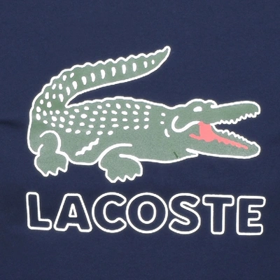 Shop Lacoste Crew Neck Logo T Shirt Navy