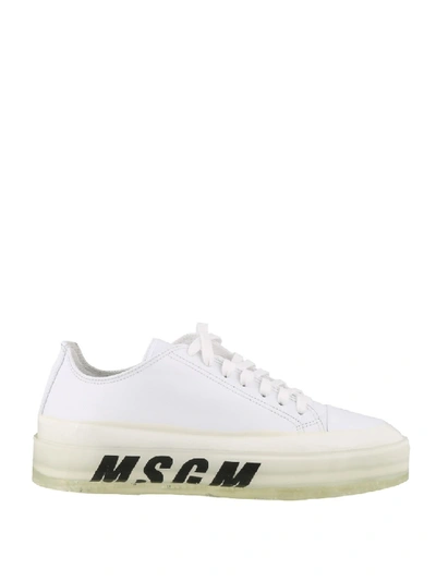 Shop Msgm Logo Sole Sneakers In White