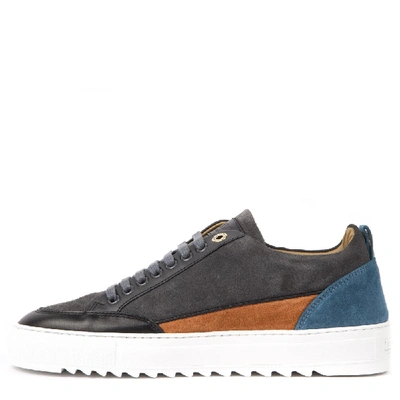 Shop Mason Garments Tia Chalk & Multicolor Suede Sneakers In Grey