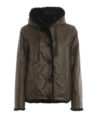 Shop Aspesi Panzerotto Reversible Padded Jacket In Black