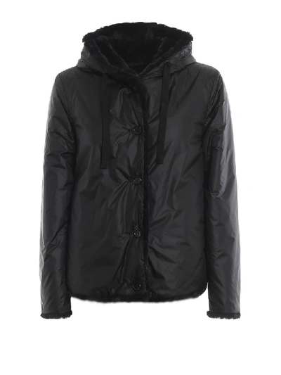 Shop Aspesi Panzerotto Black Reversible Padded Jacket