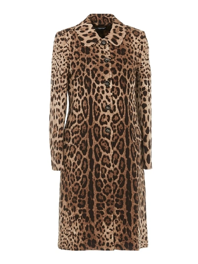 Shop Dolce & Gabbana Leo Print Wool Coat In Black