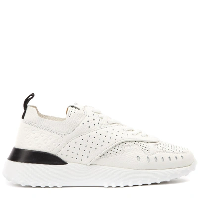 Shop Tod's White Leather Holes Sneaker