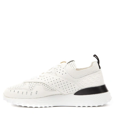 Shop Tod's White Leather Holes Sneaker