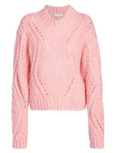 Shop Stine Goya Women's Aida Alex Chunky Knit Sweater In Pink