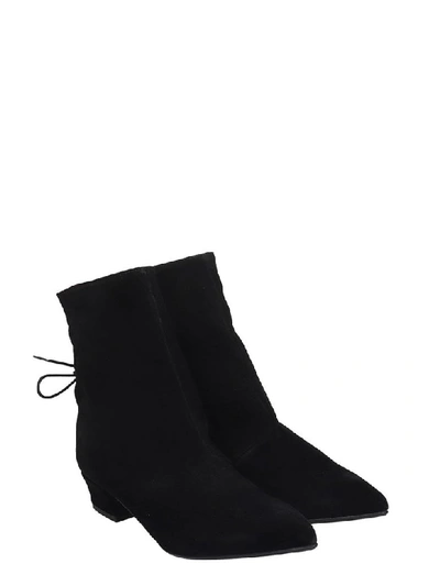 Shop Fabio Rusconi Low Heels Ankle Boots In Black Suede