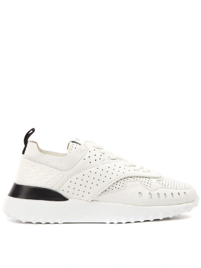 Shop Tod's White Leather Holes Sneaker