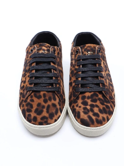 Shop Saint Laurent Signature Sneaker In Natural Caffe`/noir