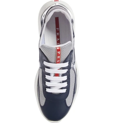 Shop Prada Logo Low Top Sneaker In Royal Patent