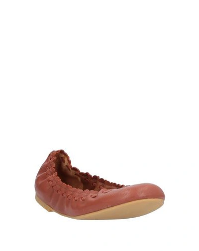Shop See By Chloé Ballet Flats In Brown