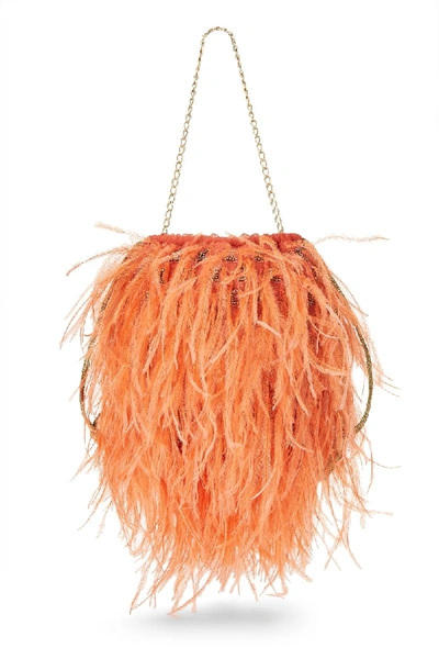 Shop Chanel Orange Embellished Ostrich Feather Handbag