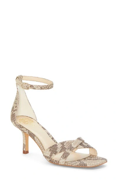Shop Vince Camuto Sarriss Ankle Strap Sandal In Gilded Leather