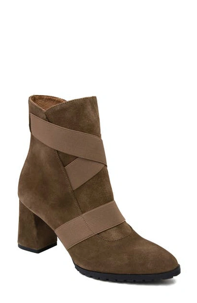 Shop Andre Assous Porter Bootie In Tobacco Suede