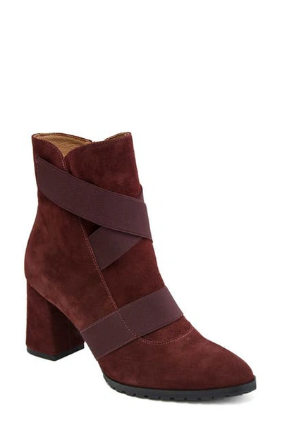 Shop Andre Assous Porter Bootie In Wine Suede