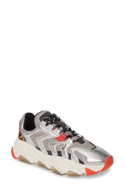 Shop Ash Extreme Platform Sneaker In Silver/ Gun/ Red/ Leopard