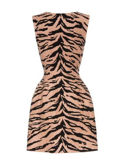 Shop Alaïa Dress Zebre In Noir/nude