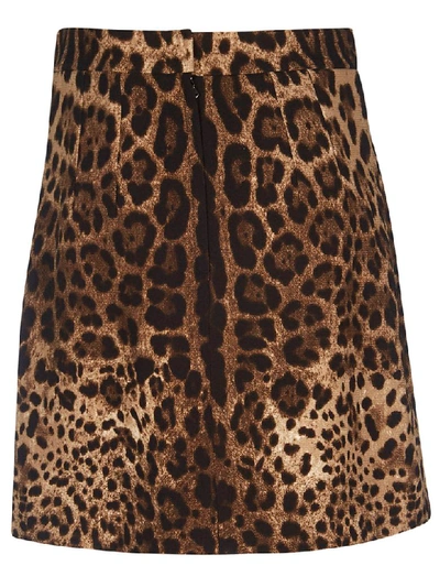 Shop Dolce & Gabbana Leopard Skirt In Leo New