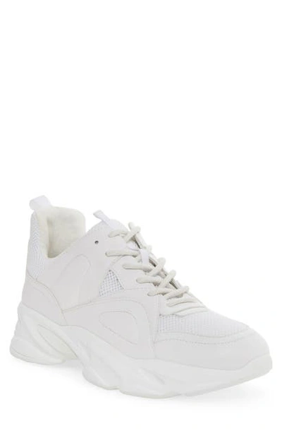 Shop Steve Madden Mover Sneaker In White