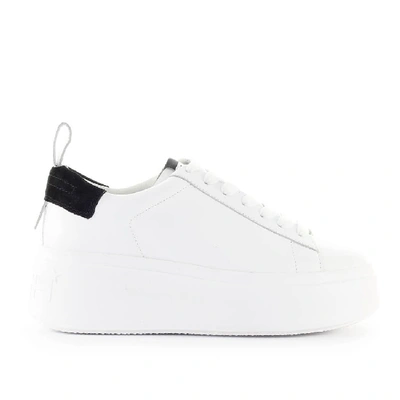 Shop Ash White Leather Sneakers