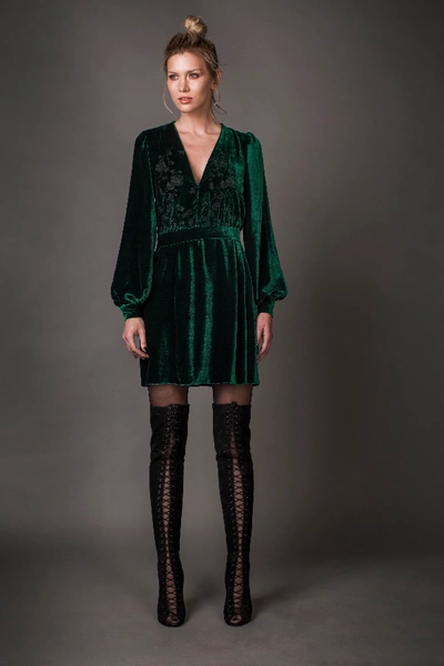 Shop Aureliana Silk Velvet Embroidered Dress In Green