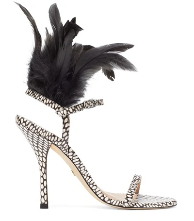 Shop Stuart Weitzman Ricki In Black And White King Cobra