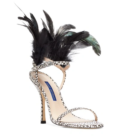 Shop Stuart Weitzman Ricki In Black And White King Cobra