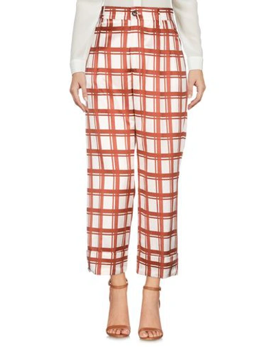 Berwich Pants In Brown