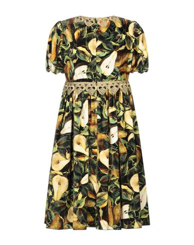 Dolce & Gabbana Minikleid Aus Samt Aus Einer Baumwollmischung Mit Floralem Print Und Spitzenbesatz In Black